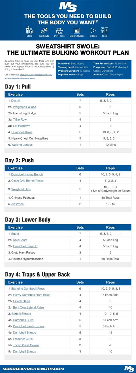 5 day push pull legs workout routine pdf - Tori Hailey