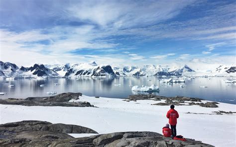 Antarctica Wildlife & Whale Watching | Wayfairer Travel