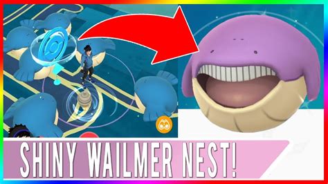 BEST WAILMER NEST IN THE WORLD! How To Catch Shiny Wailmer in Pokemon ...