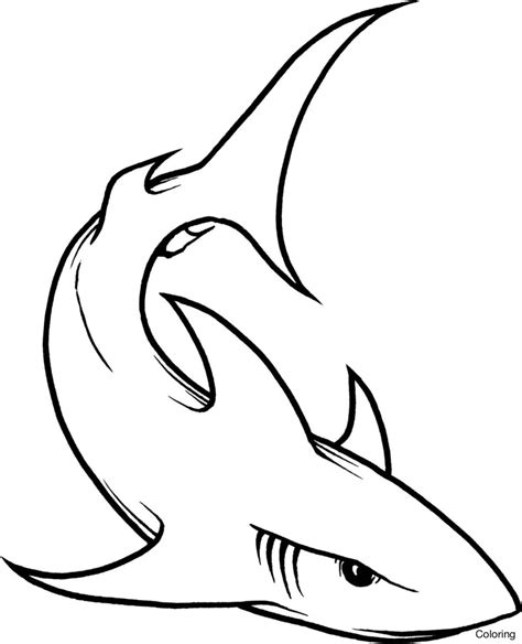 Goblin Shark Drawing at GetDrawings | Free download