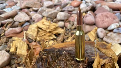 The 6.5 PRC: Complete Cartridge Profile and Ballistic Data – Backfire