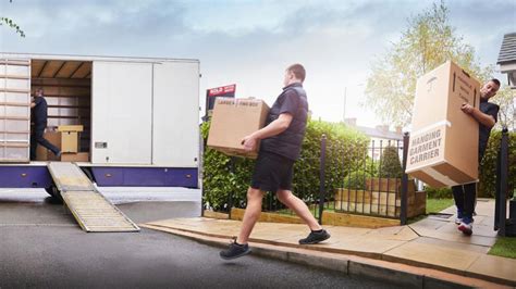 Average Cost Of Movers – Forbes Advisor