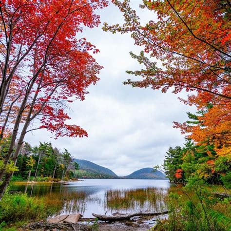 10 Best Things to Do in Maine in the Fall (Updated 2024)