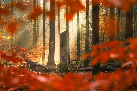 12 Tips for Autumn Photography | PetaPixel