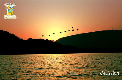 Beautiful evening view at Chilika Lake | Lake, Beautiful evening, Outdoor