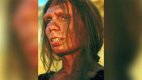 Neanderthals: Our extinct human relatives | Live Science