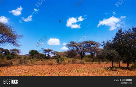 Semi-arid Landscape Image & Photo (Free Trial) | Bigstock