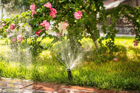 Sprinkler Repair Near Me? - Southwest Irrigation