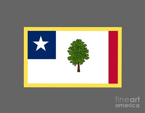 Mississippi Secession Flag Digital Art by Frederick Holiday - Pixels