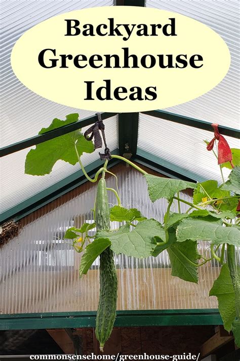 Greenhouse Guide - What You Need to Know Before You Build