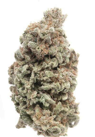 White Berry Strain Review - The Lodge Cannabis Denver