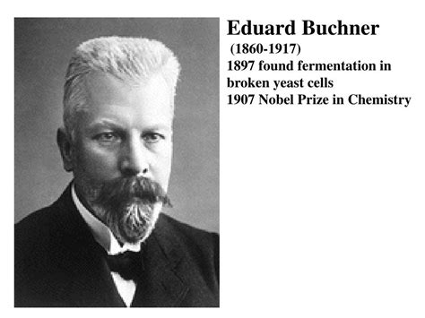 PPT - Eduard Buchner (1860-1917) 1897 found fermentation in broken ...