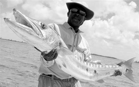 Barracuda Fishing Tips and Best Lures | Bass Pro Shops