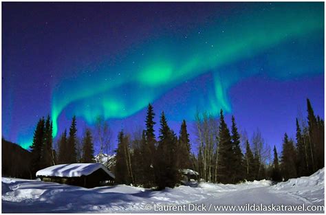 Alaska Northern Lights Tour 2025 - Wild Alaska Travel