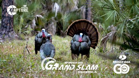 Grand Slam • Episode 2 • Osceola - Season 1 - Mossy Oak GO