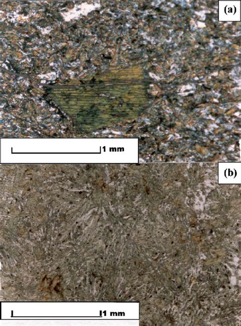 (a) Photomicrographs of meta-basalt showing porphyritic texture ...