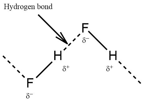 Diagram and label the hydrogen bond between two molecules of | Quizlet