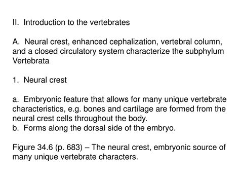 PPT - Chapter 34 Vertebrate Evolution and Diversity PowerPoint ...