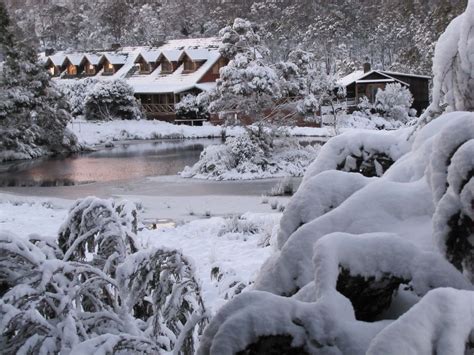 cradle-mountain-lodge-snow | Tasmania road trip, Australian travel, Cradle mountain tasmania