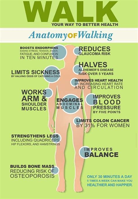 Walking for exercise | Фитнес, Здоровье, Спорт