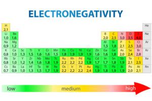 Which of the Following Groups of Elements Have No Electronegativity