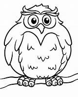 Owl Coloring Pages  Free Printable For Kids sketch template