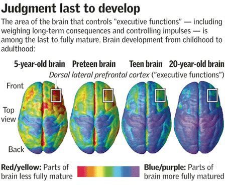 The Adolescent Brain – NBB 190