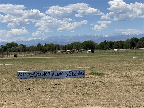 Youth Summer Camps | Academy Stables, Inc.