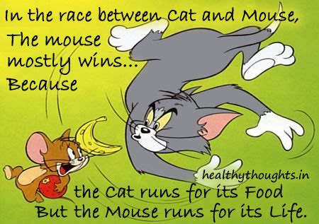 Tom Tom And Jerry Quotes. QuotesGram