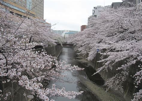 Itabashi, Japan 2023: Best Places to Visit - Tripadvisor