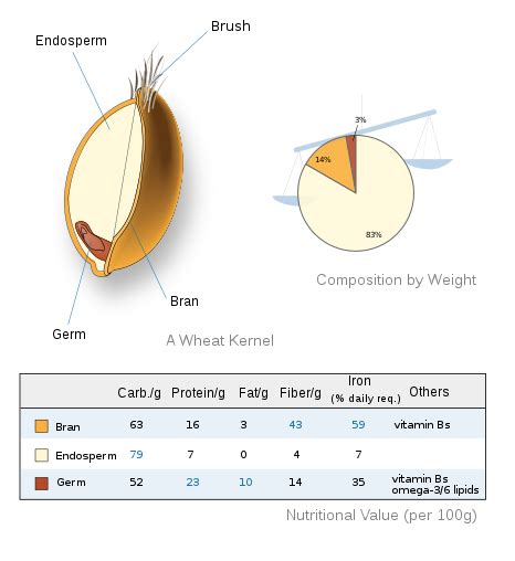 File:Wheat-kernel nutrition.svg - Wikipedia