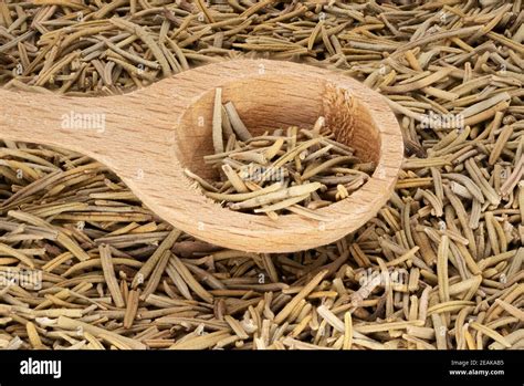 Rosemary Dried Leaves Stock Photo - Alamy