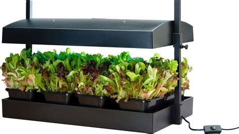 Micro Sized Grow Light Garden | Indoor vegetable gardening, Vertical ...