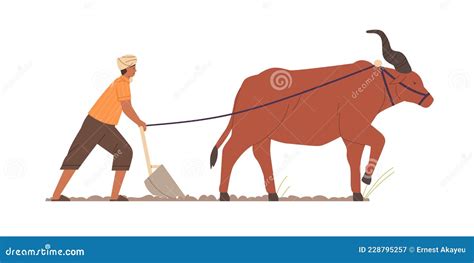 Indian Farmer Plowing With Traditional Primitive Plough And Ox. Farm ...