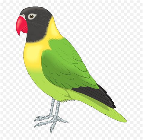 Clipart Parrot - Bird Clip Art Emoji,Parrot Emojis - Free Emoji PNG Images - EmojiSky.com