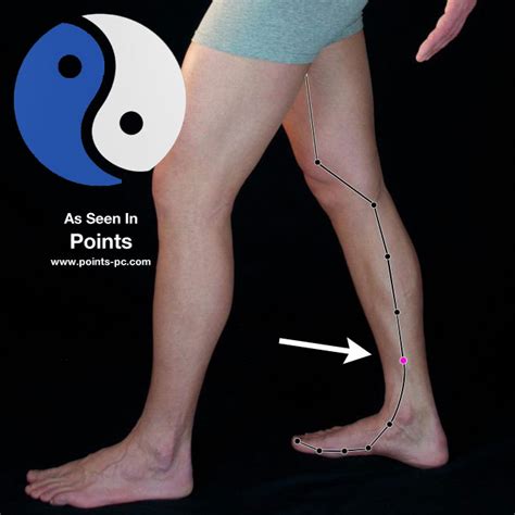 Acupuncture Point: Spleen 6 (SP 6) - Acupuncture Technology News