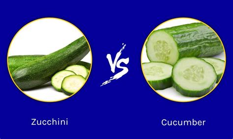 Zucchini vs Cucumber: What’s the Difference? - Wiki Point