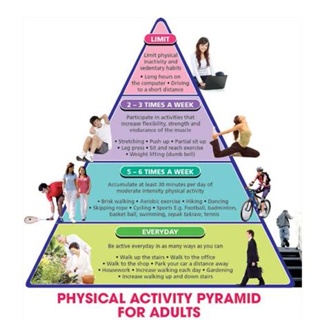 Free Philippine Physical Activity Pyramid Ideas | Exercises to Belly Fat