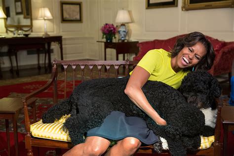 President Obama's Dog, Sunny - Presidential Pet Museum