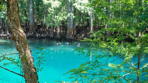 Manatee Springs – Florida Hikes