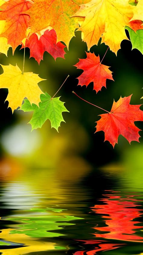 Autumn Foliage Lockscreen - KoLPaPer - Awesome Free HD Wallpapers