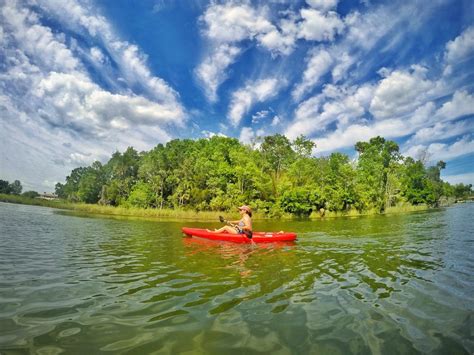 Crystal River Florida Kayaking 3 - Clearwater Beach Blog