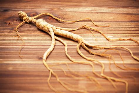 Panax Ginseng Review - Nootropic Geek