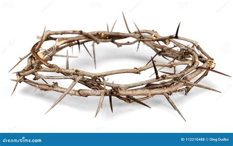 Crown of Thorns stock photo. Image of reflection, thorns - 112210488