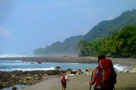 The Ultimate Adventure of Hiking in Corcovado National Park