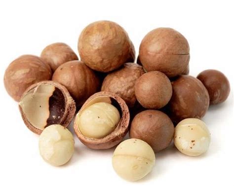 Macadamia nut in Kenya, Macadamia nut Manufacturers & Suppliers in Kenya