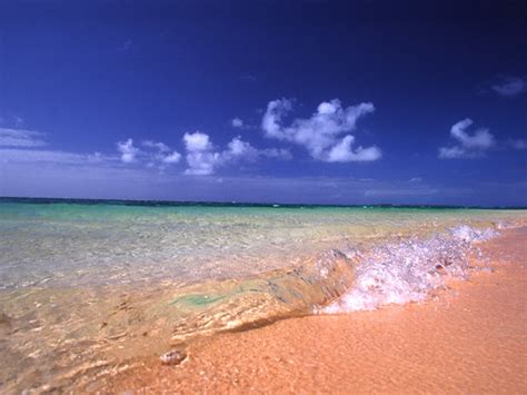 Laura beach | During our trip to the Marshall Islands the or… | Flickr