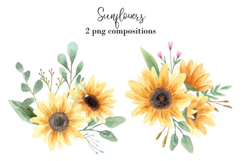 Watercolor Sunflowers Clipart By Slastick | TheHungryJPEG