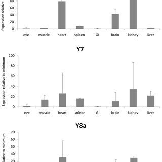 | Expression data for neuropeptide Y receptors in a panel of eight ...