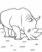 African rhinoceros coloring Page Animal sketch template